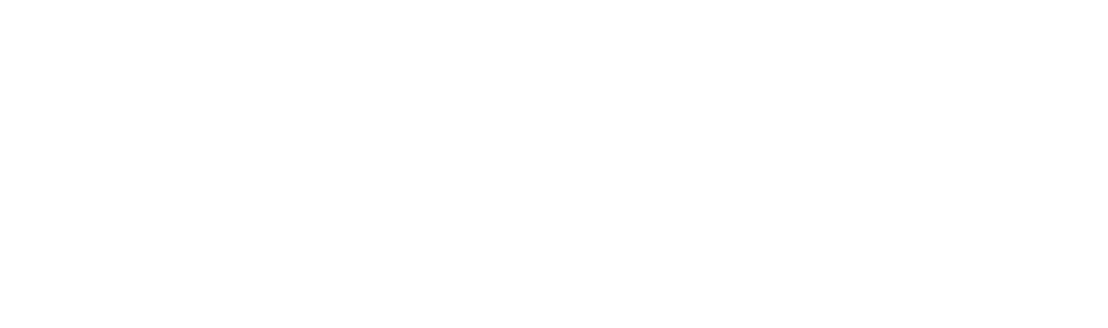 LOGO_LAZER_WHITE.png