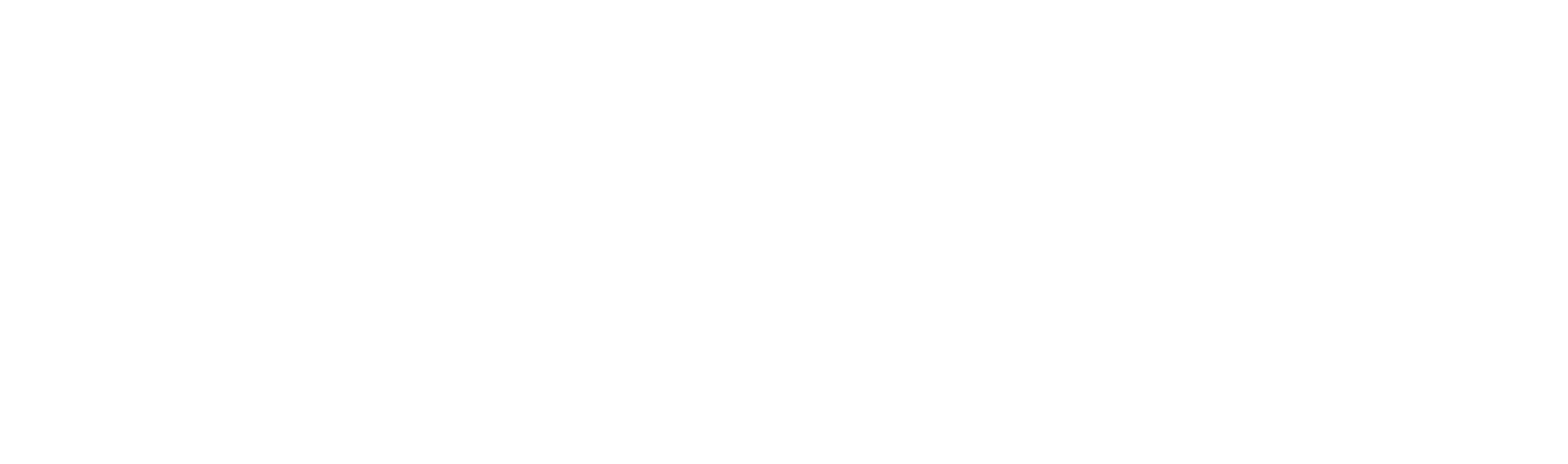 LOGO_K-LITE_completelyWHITE.png