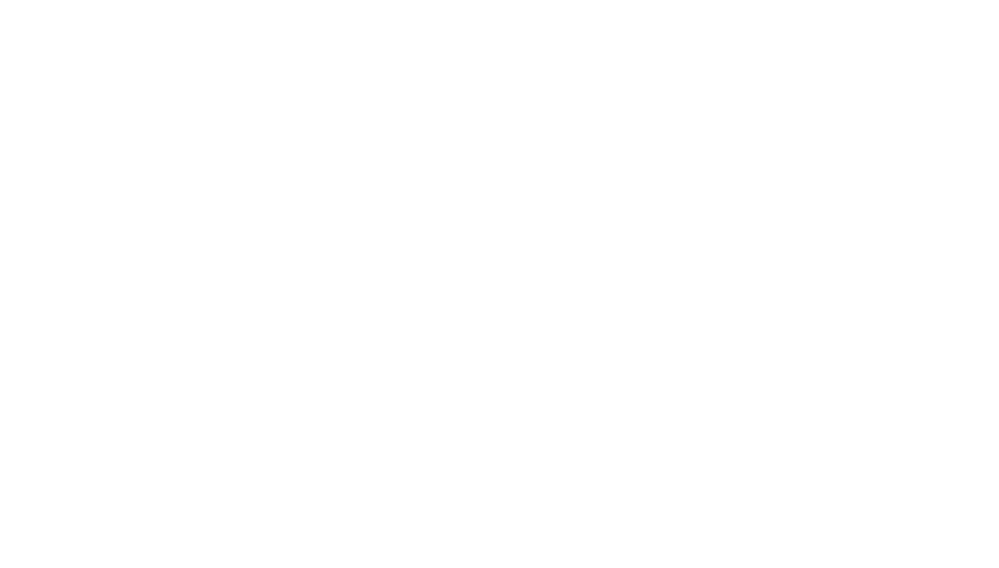Pro_power_logo_white.png